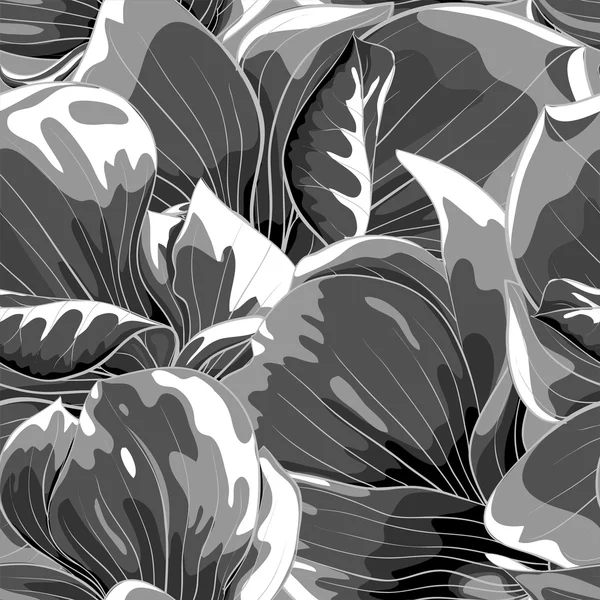 Hermoso fondo monocromo, blanco y negro sin costuras con magnolia . — Vector de stock