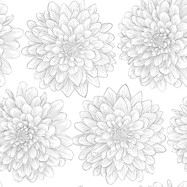 Beautiful black and white seamless pattern in  dahlia — Stock Vector