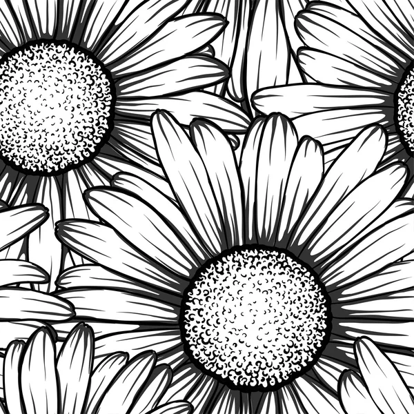 Beautiful monochrome black and white seamless background with flowers daisy. — Stock Vector