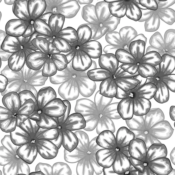 Beautiful monochrome black and white seamless background with flowers daisy. — Stock Vector