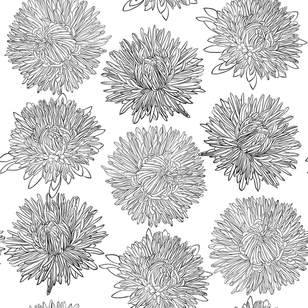Hermoso fondo monocromo, blanco y negro sin costuras con flores aster . — Archivo Imágenes Vectoriales
