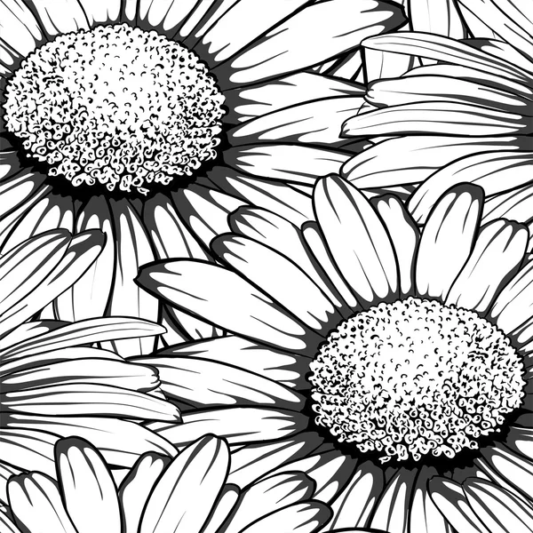 Black and white seamless background with flowers daisy. — Stock Vector