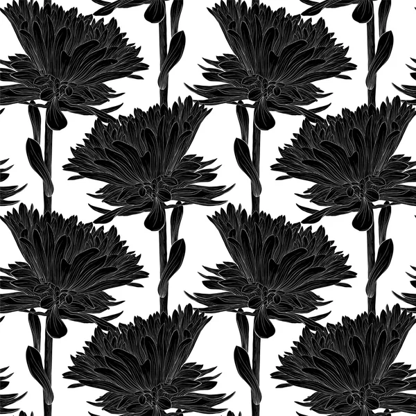 Mooie zwart-wit, zwart en wit naadloze achtergrond met bloemen aster. — Stockvector