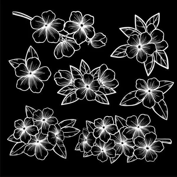 Frumoasă colecție florală monocromă alb-negru cu frunze și flori . — Vector de stoc