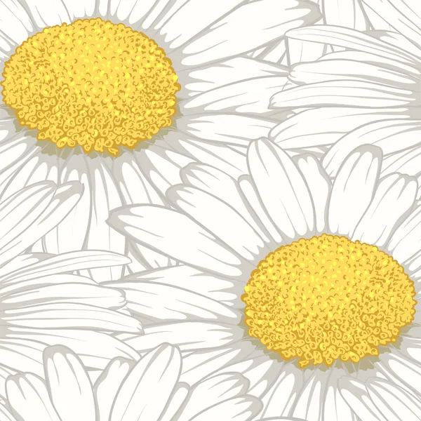 Vacker sömlös bakgrund med blommor daisy. — Stock vektor