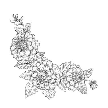 arka plan üzerinde izole güzel tek renkli siyah ve beyaz buket dahlia.