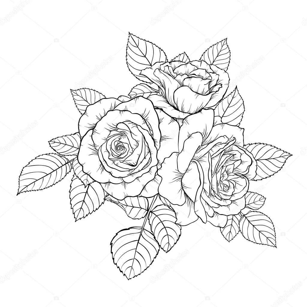 Beautiful Monochrome Black And White Bouquet Rose Isolated On Background Stock Vector Image By C Jane Hulinska