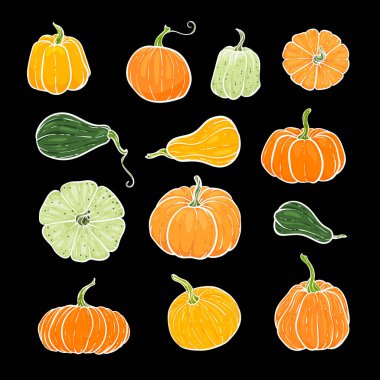 Dekoratif turuncu ve yeşil balkabakları. Elle çizilmiş çizim vektörü sonbahar çizimi. Şükran Günü, Cadılar Bayramı arkaplanı. Hasat et.