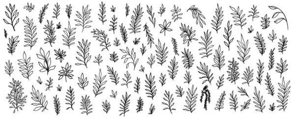 Коллекция Цветов Ягод Листьев Цветочный Винтажный Набор Ручной Работы Иллюстрация — стоковый вектор