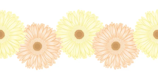 ガーベラの花の美しいシームレスな水平フレーム要素 — ストックベクタ