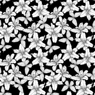 güzel tek renkli, siyah beyaz sorunsuz ve arka plan zambaklar kelebekler. kontür çizgileri çizilmiş.