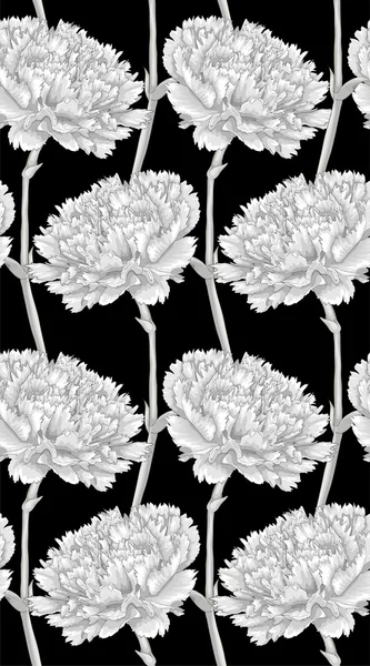 美丽的单色，黑色和白色无缝背景与康乃馨. — 图库矢量图片