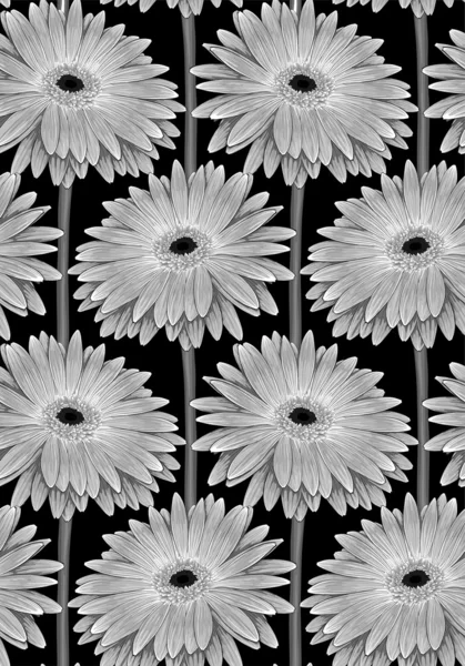 Beautiful monochrome, black and white seamless background with gerbera flower with a stem. — Stock Vector