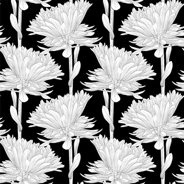 Beautiful monochrome, black and white seamless background with flowers aster. — Stock Vector