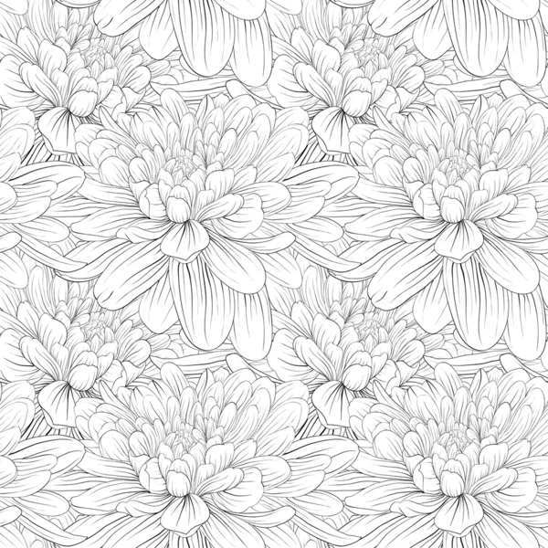 Beautiful monochrome, black and white seamless background with flowers dahlia. — Stock Vector