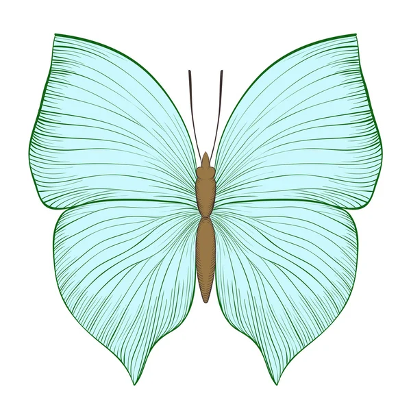 孤立在白色背景上的美丽复古绿色蝴蝶. — 图库矢量图片