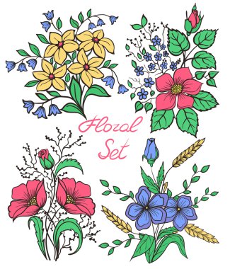 Vector flowers set. Colorful floral collection with leaves and flowers clipart