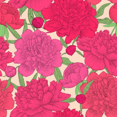güzel sorunsuz arka plan. pembe peonies yeşil yaprakları ve tomurcukları ile. Tebrik kartları ve davetiyeler, düğün, doğum günü, Sevgililer günü, anneler günü ve diğer mevsimlik tatil için mükemmel seçim