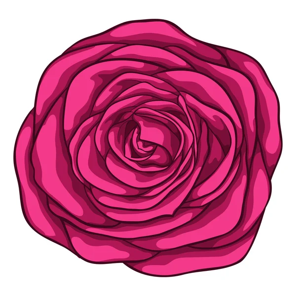 Belle rose rouge isolée sur fond blanc. pour les cartes de voeux et les invitations du mariage, anniversaire, Saint-Valentin, fête des mères et autres vacances saisonnières — Image vectorielle