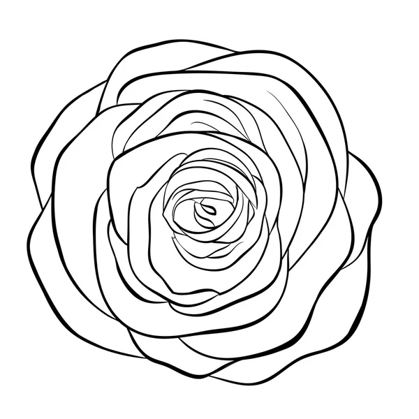 孤立的白色背景上的美丽单色黑与白玫瑰. — 图库矢量图片