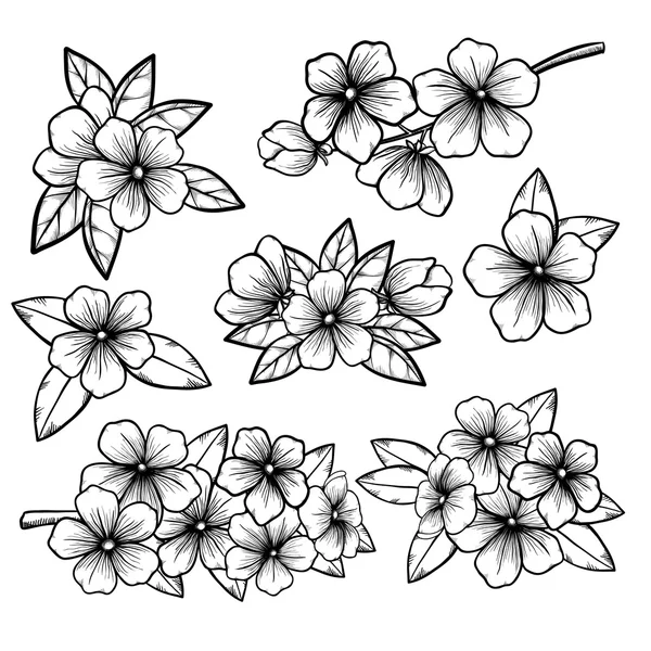 Indah monokrom hitam dan putih koleksi bunga dengan daun dan bunga . Stok Vektor Bebas Royalti