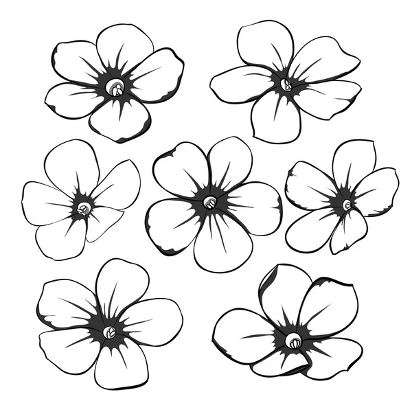 Indah monokrom hitam dan putih koleksi bunga dengan daun dan bunga . Stok Ilustrasi Bebas Royalti