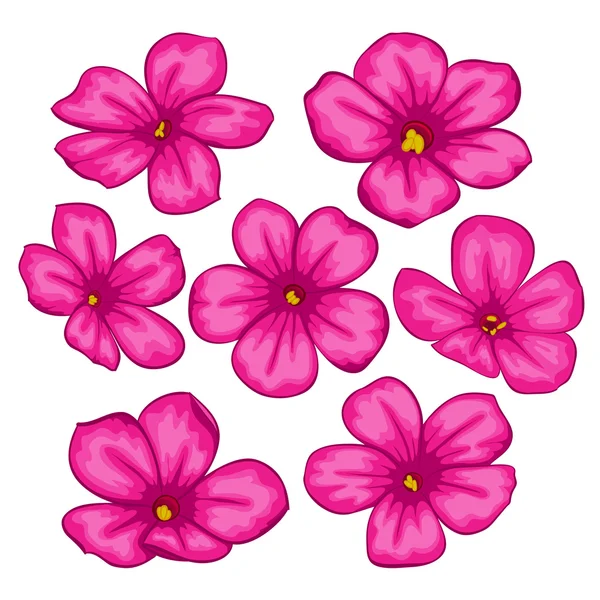 Belo conjunto de flores vetoriais. Coleção floral colorido com flores rosa . — Vetor de Stock