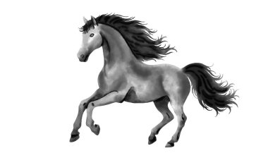 Islak suluboya siyah ve beyaz dört nala koşan at dinamik bir duruşta. 2026 Çin Yeni Yılı 'nın sembolü. Kartpostallar, kartpostallar, davetiyeler, 2026 takvimi için tasarım ögesi