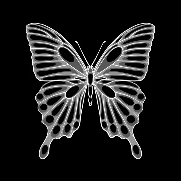 Beautiful monochrome black and white butterfly. — Stock Vector