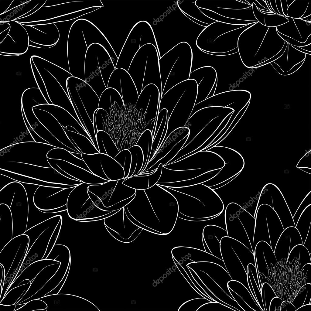 Bianco E Nero Modello Senza Saldatura Con Fiori Di Loto