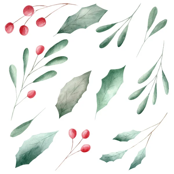 Red Berries Green Leaves Watercolor Clipart Isolated White Background Hand — 스톡 사진