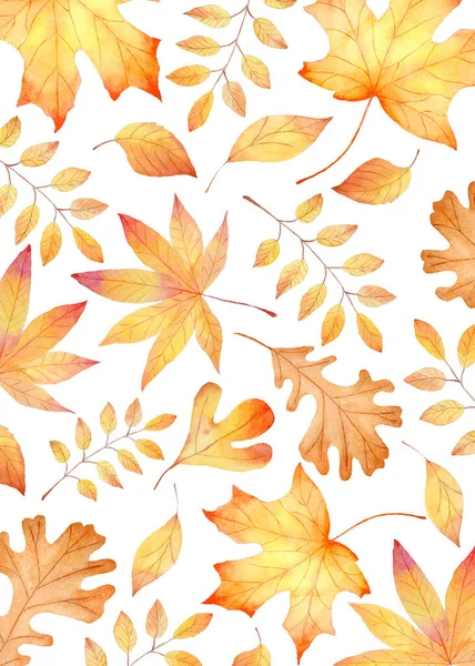 Fall leaves watercolor clipart. Orange leaf hand painted illustration. Autumn hand painted illustration.