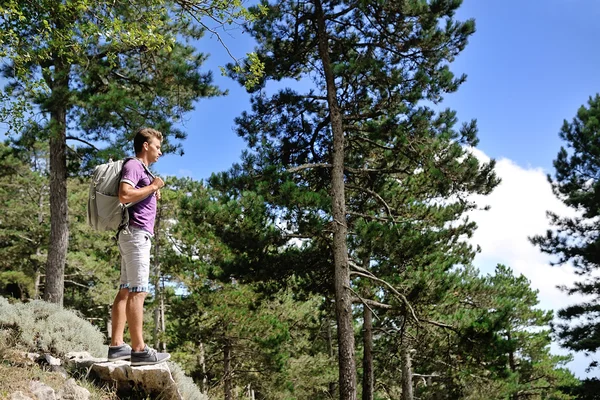 Ağaçlar arasında bir dağ üzerinde sırt çantası ile uzun yürüyüşe çıkan kimse