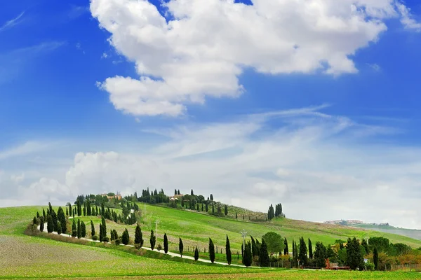 Toskánské krajiny panoramatický pohled s kopce a cypřišů, Toskánsko, Itálie — Stock fotografie