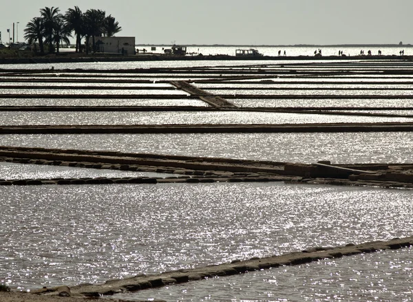 Velho saltério. Marsala. — Fotografia de Stock