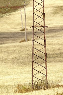 Pilon sarı