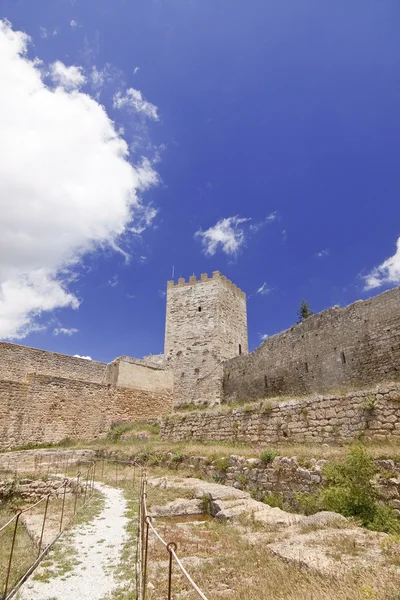 Lombardy kale decies