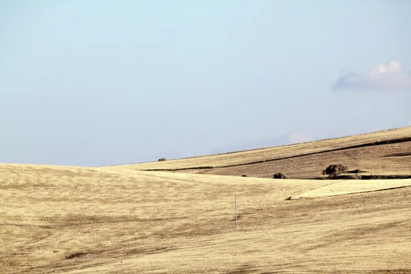 Skördat hills quinquies — Stockfoto