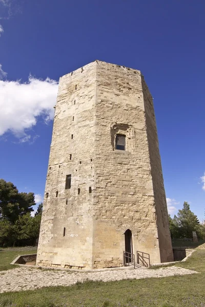 Toren van Fredrick Ii bis — Stockfoto