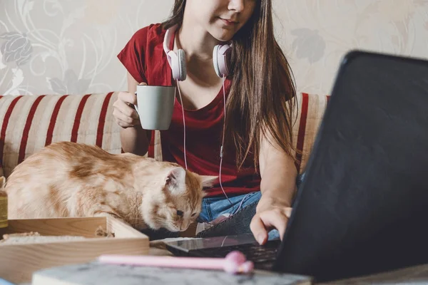 Equilibrio vida-trabajo, Oficina en el hogar, espacio de trabajo, trabajo desde el hogar, concepto de horario de trabajo flexible. Mujer joven con portátil y gato trabajando en el sofá. — Foto de Stock