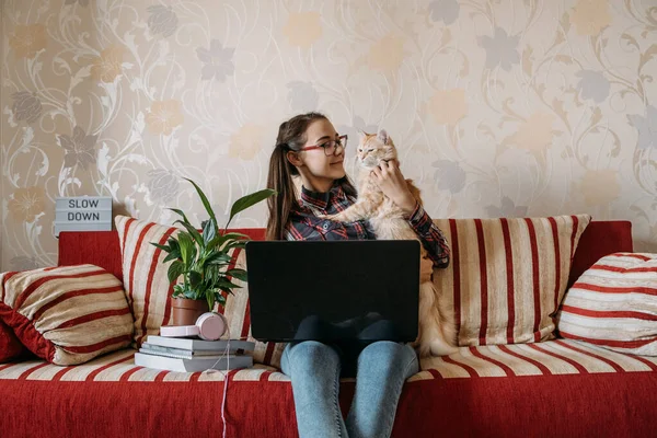Work-life balance, Home office, work space, work from home, Flexible work hours concept. Young woman with laptop and cat working at sofa.