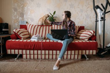 İş hayatı dengesi, ev ofisi, çalışma alanı, evden çalışma, esnek çalışma saatleri konsepti. Dizüstü bilgisayarı ve kedisi olan genç bir kadın kanepede çalışıyor..