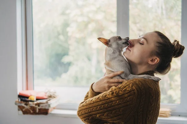 Pet love, homeless dog adoption, caring for a pet and animal concept. Pet Lovers, Animal Lovers. Woman with new pet dog from shelter in her hands. Puppy from shelter in new home — Stock Photo, Image