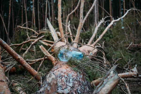 Questões ambientais, problemas. Garrafa de plástico no tronco de pinho caído árvore. Invasão na floresta de pinheiros. Danos na tempestade. Árvores caídas na floresta de coníferas após forte vento de furacão — Fotografia de Stock