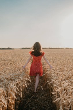 Kendine, motivasyona ve ilhama odaklan, her şeyi yeniden düşün, özgürlüğü. Mutlu genç kız güneş yaz gününde buğday tarlasında hayatın tadını çıkarıyor.