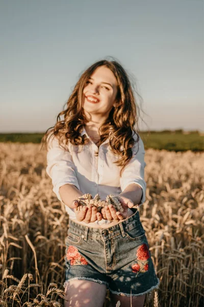 Wheat crop, harvest, Harvesting agriculture, economy. Young brunette woman with hands full of ripe wheat seeds in cereal field ready harvest
