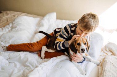 Çocuklar için En İyi Köpek Yetiştirme, İyi Aile Köpekleri. Karşınızda Yavrular ve Çocuklar. Sevimli küçük Beagle köpek ve çocuk evde yatakta oynuyorlar.