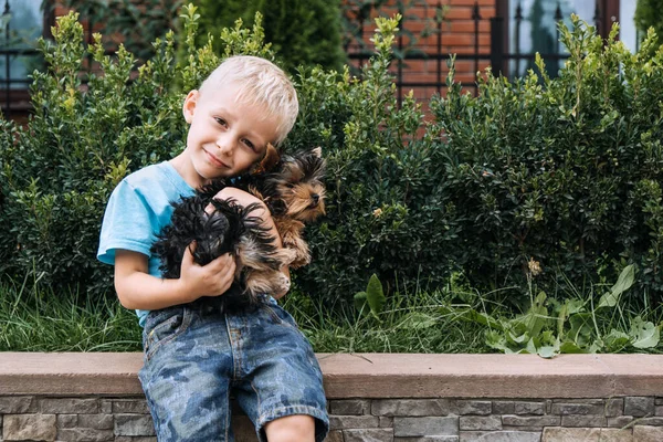 Chłopiec z psem z Yorkshire Terrier. słodkie dziecko chłopiec przytula york terrier szczeniak i siedzi na zielonej trawie w ogrodzie. — Zdjęcie stockowe