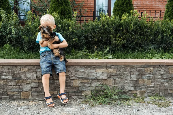 Chłopiec z psem z Yorkshire Terrier. słodkie dziecko chłopiec przytula york terrier szczeniak i siedzi na zielonej trawie w ogrodzie. — Zdjęcie stockowe