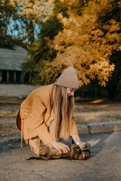 Amor de mascotas. Mujer voluntaria juega con cachorros sin hogar en el parque de otoño. Auténticos momentos de alegría chica jugando con perros callejeros. Concepto de voluntariado y refugios para animales —  Fotos de Stock